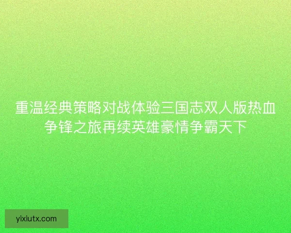 重温经典策略对战体验三国志双人版热血争锋之旅再续英雄豪情争霸天下