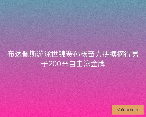 布达佩斯游泳世锦赛孙杨奋力拼搏摘得男子200米自由泳金牌